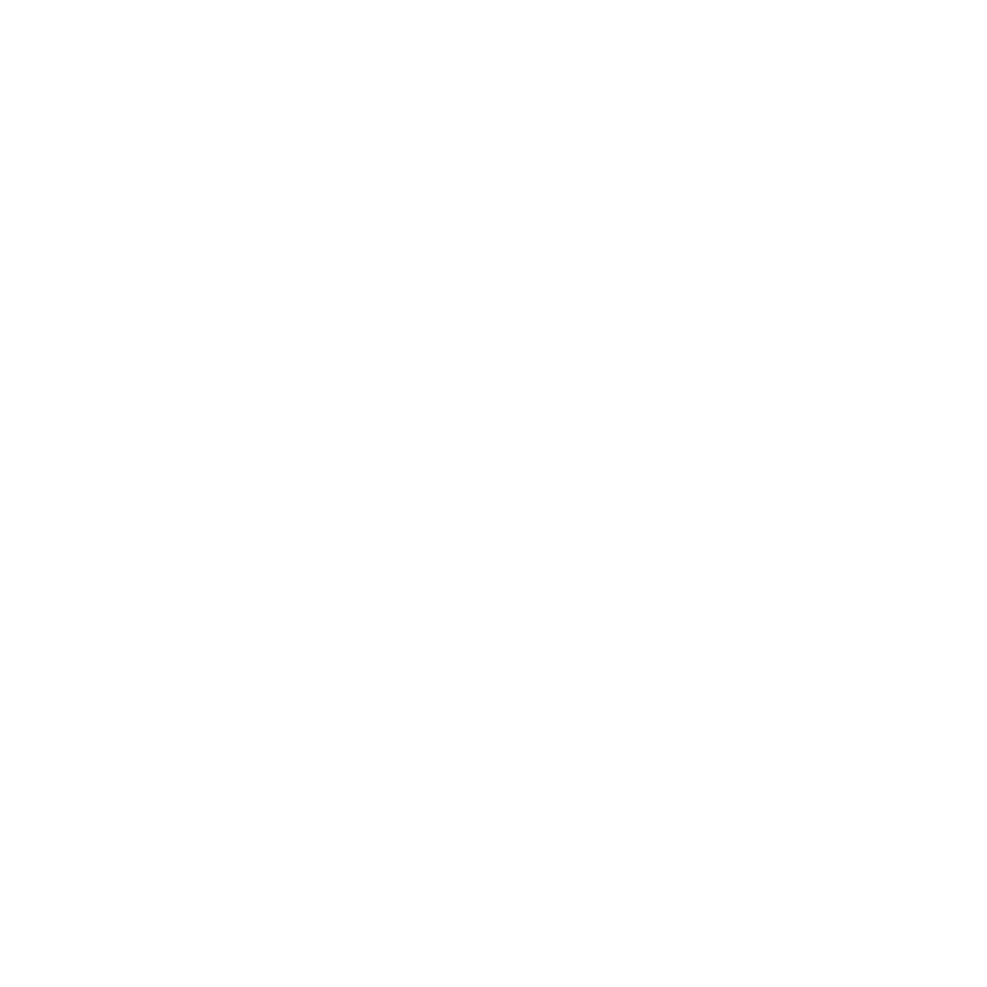 Toilets Installed, Repaired, Serviced, and Unblocked