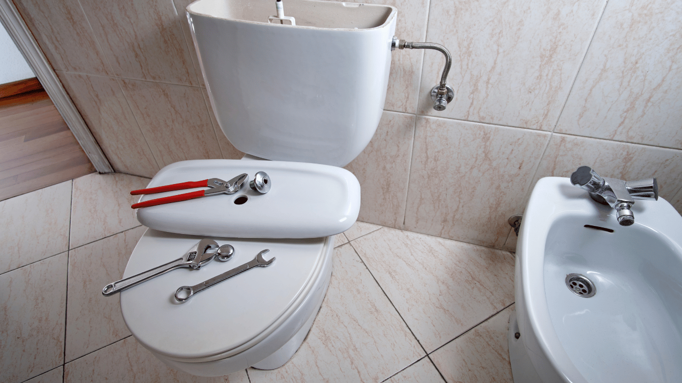 Cloakroom Toilet Repair