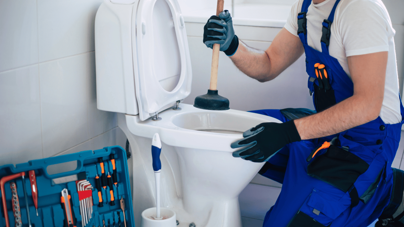 Cloakroom Toilet Repair