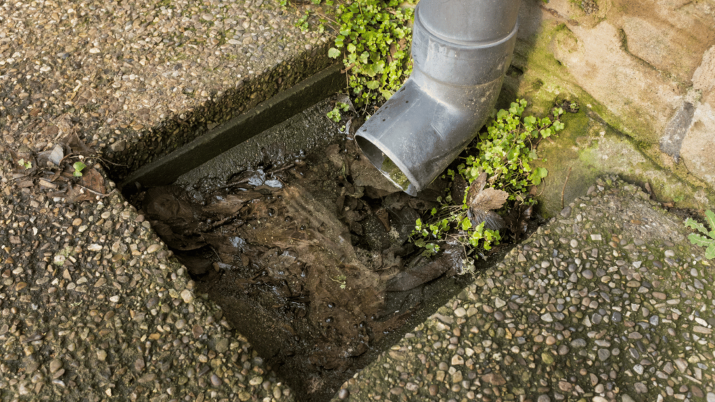 Guide to Preventing Blocked Drains