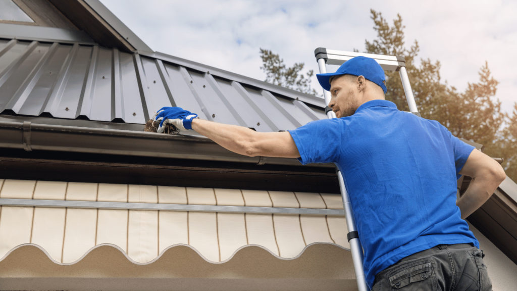 Why Is Regular Gutter and Drain Maintenance Essential?