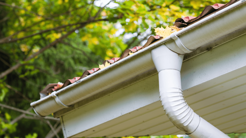 Why Is Regular Gutter and Drain Maintenance Essential?